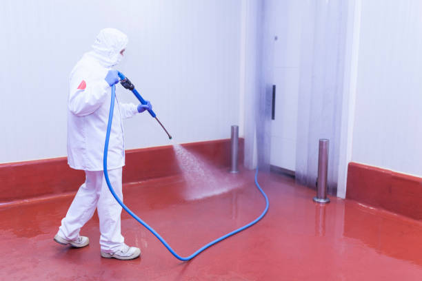 Best Driveway Pressure Washing  in Brinckerhoff, NY